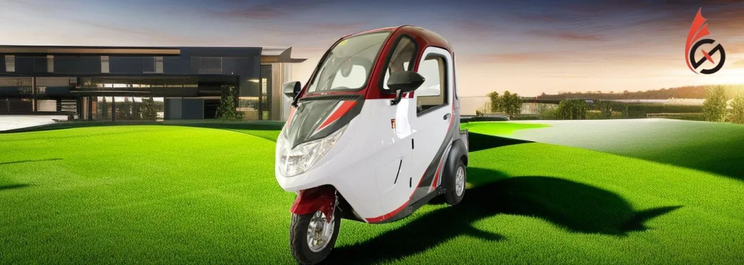 3-Wheel Electric EEC Small Vehicle Open Door 30km/H New Energy Tricycle