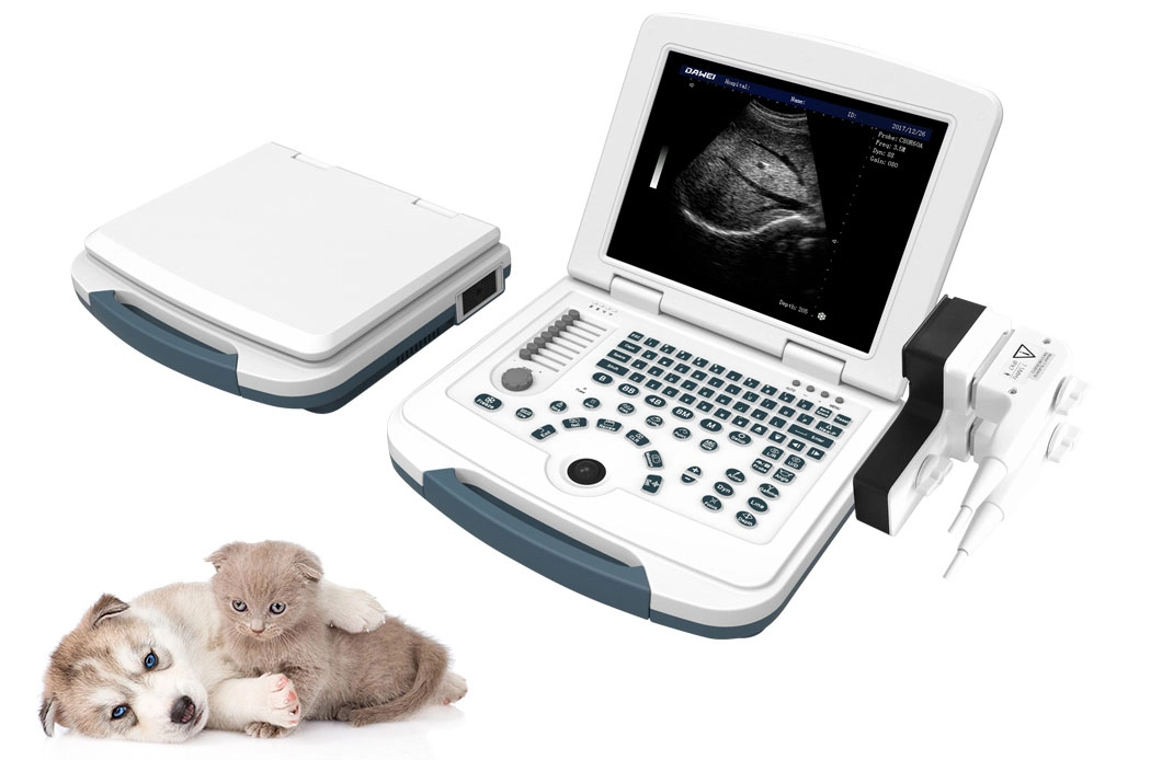 Best Sale Ultrasonic Diagnosis Equipment Laptop B/W Animal Ultrasound Machine