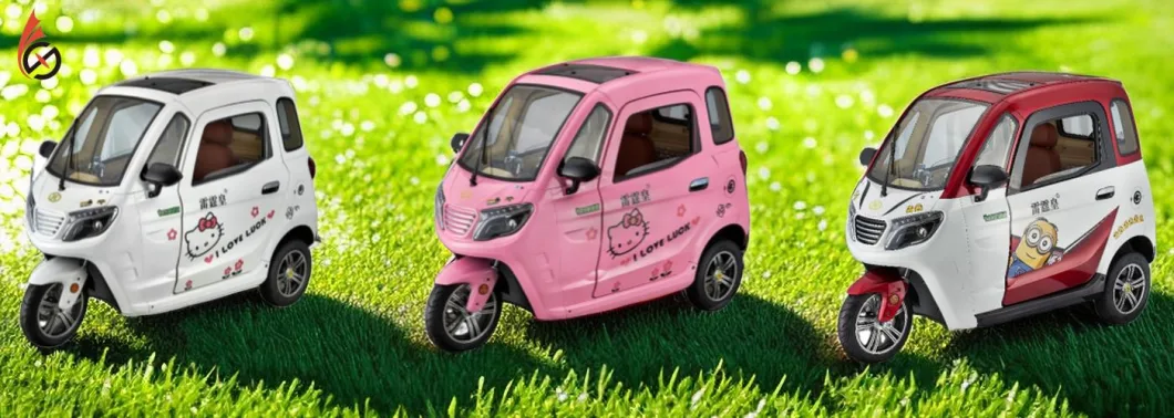 Popular and Best Sell Electric Car with CE Certificate for Adult Use