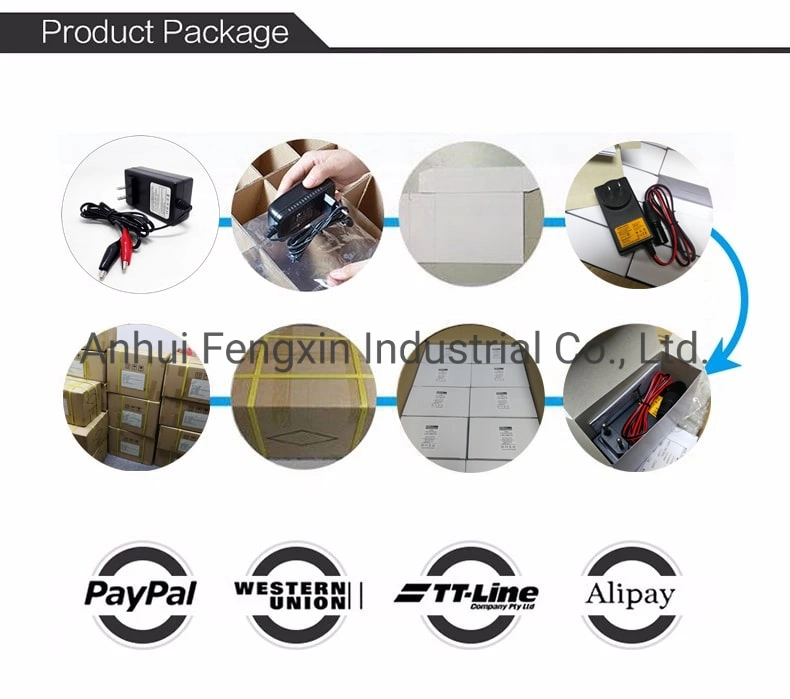 Addison 24V 36V 48V 4A 5A 6A Lead Acid Battery Chargers with Excellent Safety Performance for Electric Car/Sooter/Rickshaw