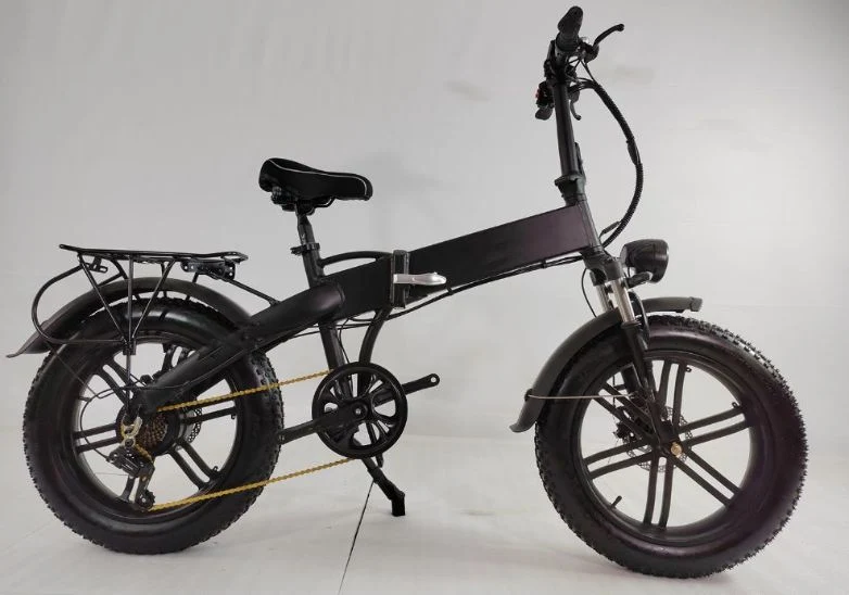 2024 Brand New 20inches Electric Bikes 36V 10ah 250W Motor Electric Bicycle