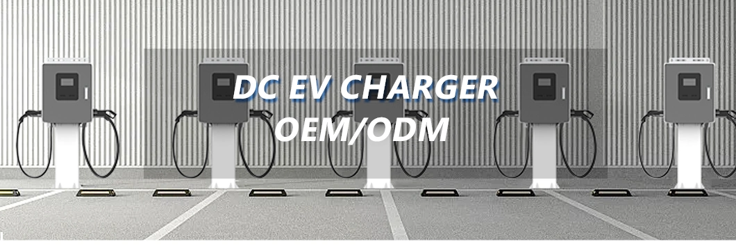 Electric Vehicle Charging Station 40kw EV Charger Chademo DC Fast Charger EV with RFID and Ocpp