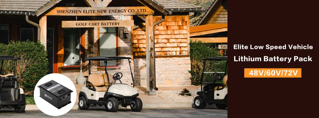 Elite High Constant Current Lithium Ion Battery EV Golf Cart LiFePO4 Battery with Charger