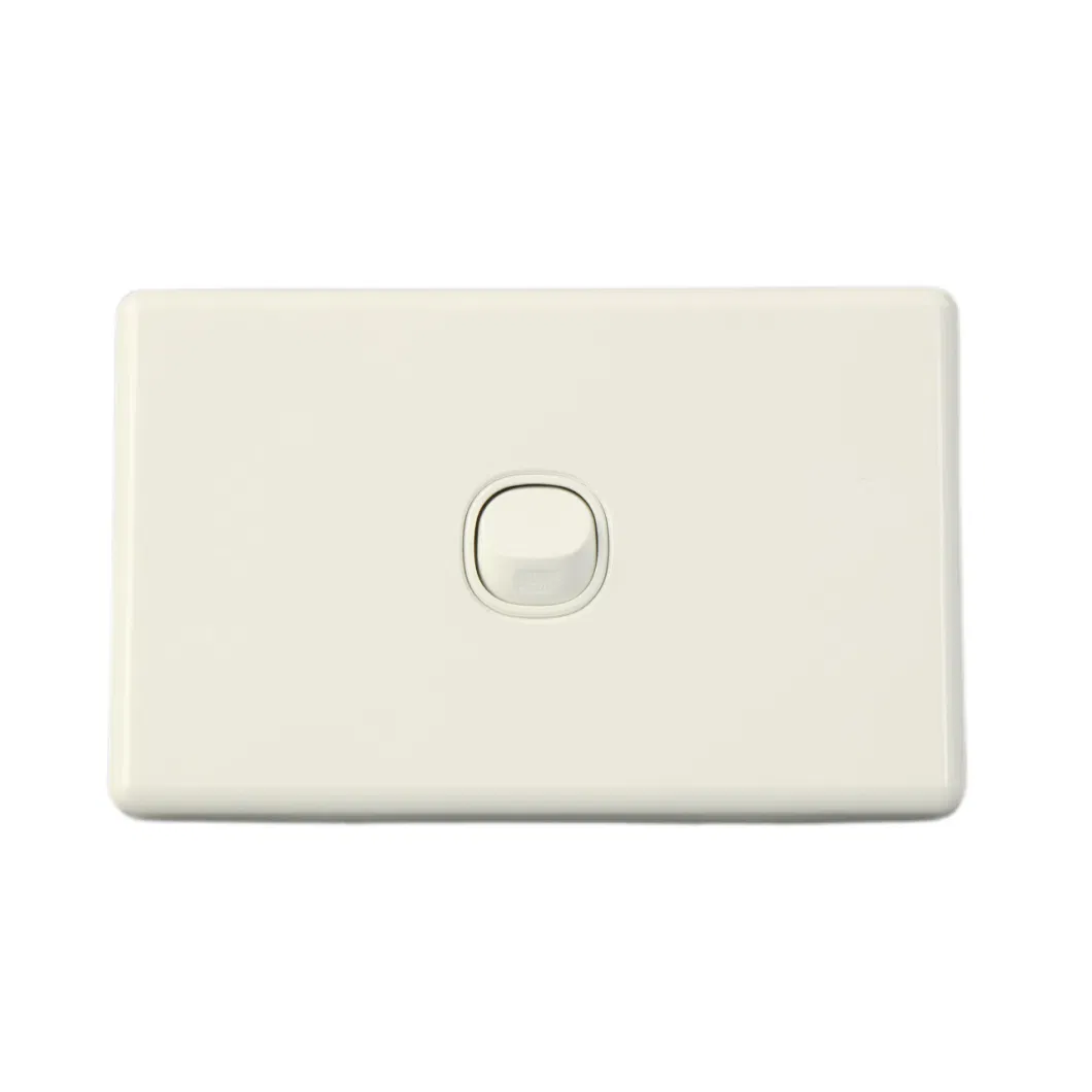 SAA Au 2 Power Point with Double USB Gpo Wall Switch Socket