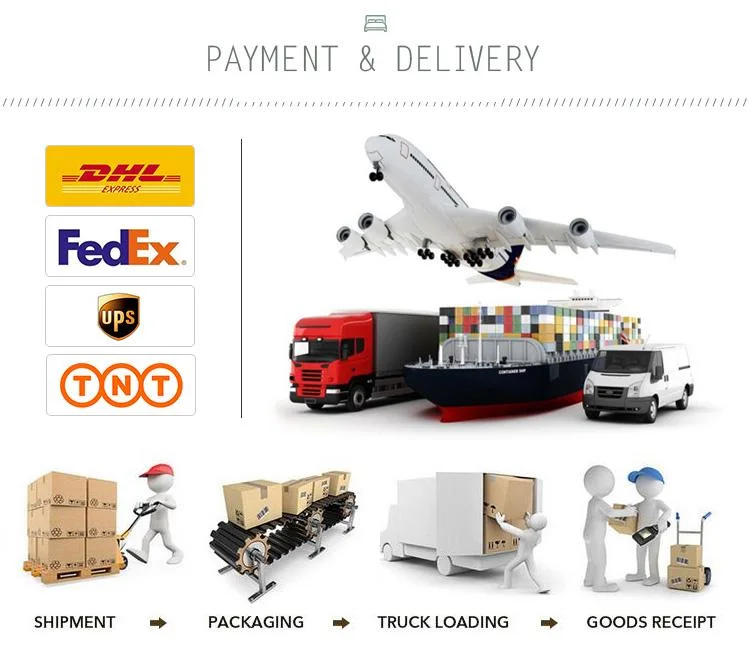 Vehicle Battery Charging Business or Home Electronic EV Charger