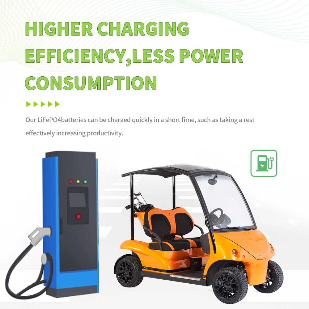 EV Charger Stable Discharge Lithium LiFePO4 Battery for Electric Forklifts/Agricultural Carts