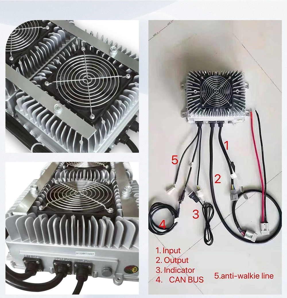 Deligreen 6.6kw Obc on Board Charger Electric Car Electrical System Components Lithium Ion Golf Cart on Board Battery