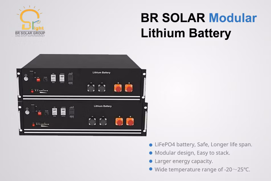 LiFePO4 Br-LFP-48300 Lithium Storage Charger