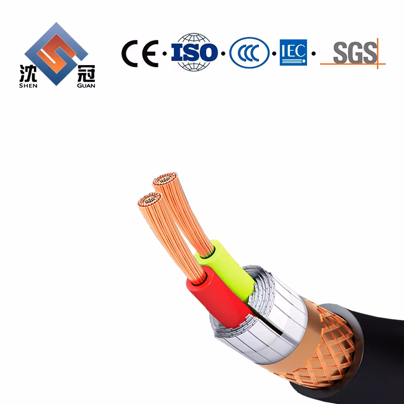 Shenguan Control Cable Electric Cable Electric Car Charger 16A/32A Type 1 to Type 2 EV Charging Cable 32 AMP 1 Phase 5 Meters Type 2 to Gbt