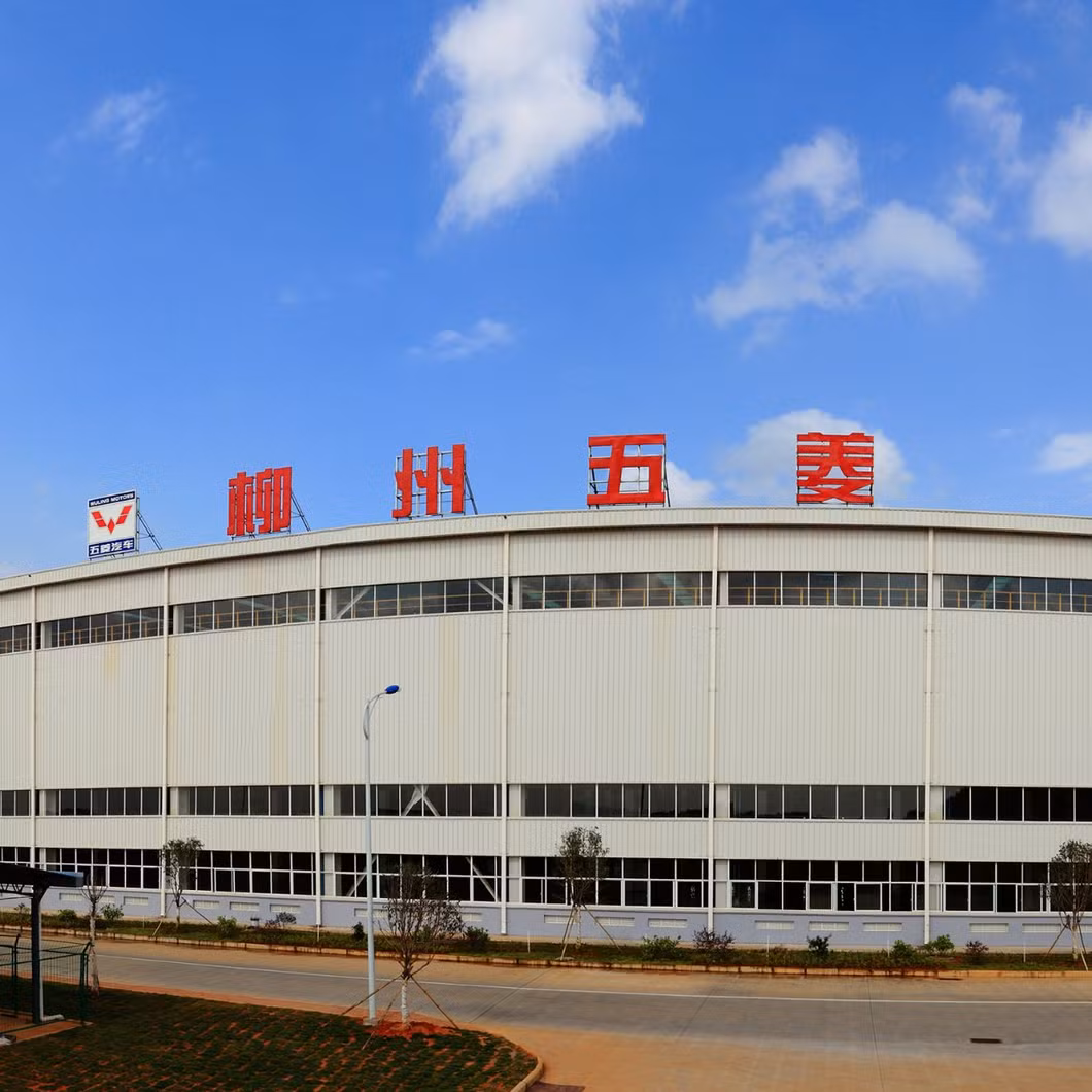Wuling Sightseeing Car