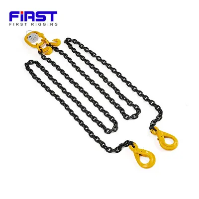 Two Legs Lifting Chain Sling with Eye Sling