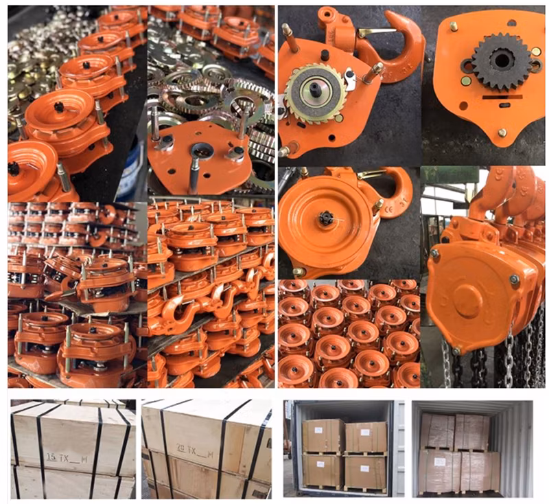 Construction Work 1 Ton 2 Ton 3 Ton 5 Ton Manual Chain Block with G80 Lifting Chain Hsc Hand Chain Hoist
