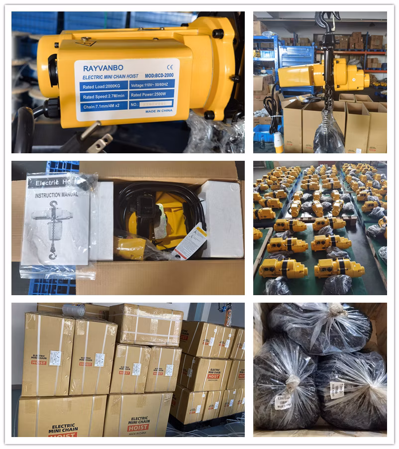 Fast Lift Speed Mini Type 110V 220V-240V Lifting Equipment Crane Single Phase Chain Electric Hoist with Wholesale Price