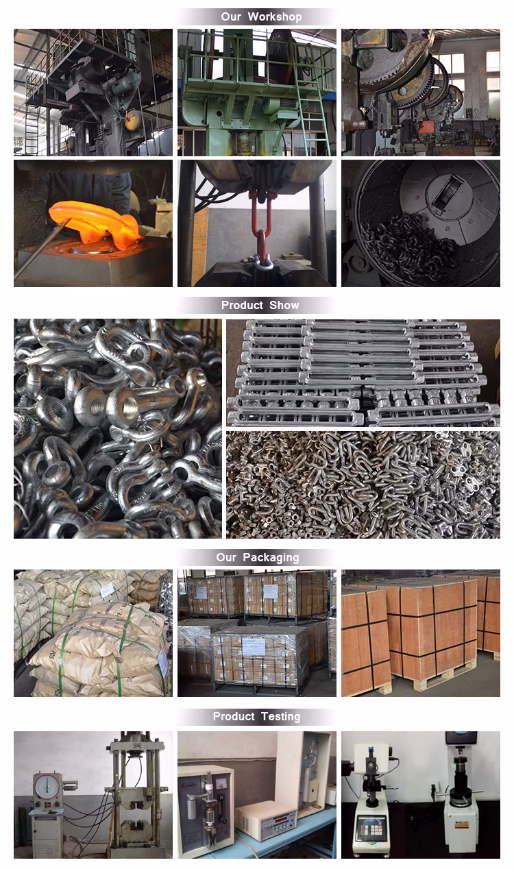 European Type Steel Shackle Electro Galvanized Lifting Shackle Free Forged Dee/Bow Crane Shackle