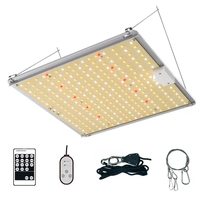 Wholesale Horticulture Agriculture 100W 200W 300W Waterproof LED Plant Grow Light for Hydroponic Growing System