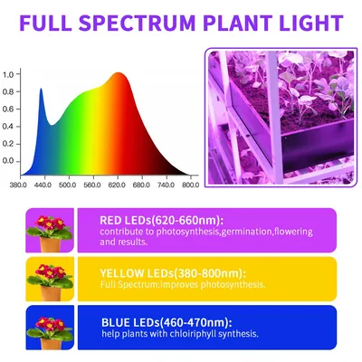 Jesled LED atenuable Grow Lighting Full Spectrum Plant Grow Light Para sistemas de crecimiento hidropónico de invernadero