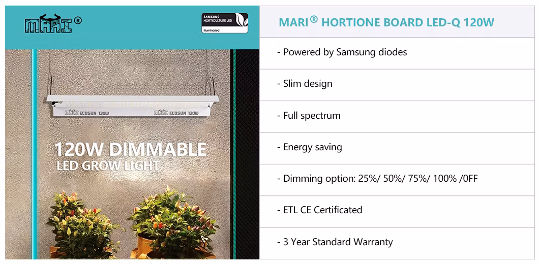 Hortione Quantum Board 120W Smart Control Dimmable UV/IR Best in Field Fluence LED Grow Light Dlc Approved Full Spectrum Efficacy up to 2.7 Umol/J for Grow Tent