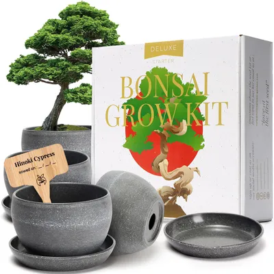 Kit Bonsai Tree Deluxe con kit per semi Bonsai