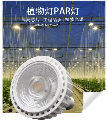 Luce a LED a crescita vegetale ad ampio spettro PAR20PAR30PAR38 Pot. Succulente per interni Luce di riempimento impianto