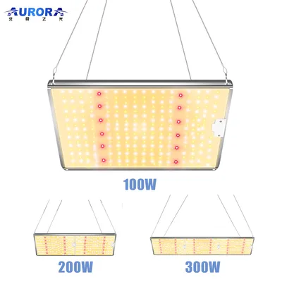 Hot sale 100W Quantum Board LED Grow Light per verdure Fioritura di frutta