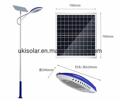 60 W, 100 W, luce di crescita, LED ad alimentazione solare galvanizzato, vendita a caldo