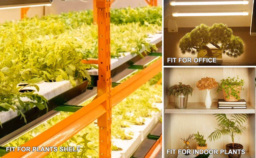 LED Grow Light for Indoor Plants with Auto on/off Timer, 3/6/12h Timer, 192 LEDs, 4 Dimmable Modes for Horticulture