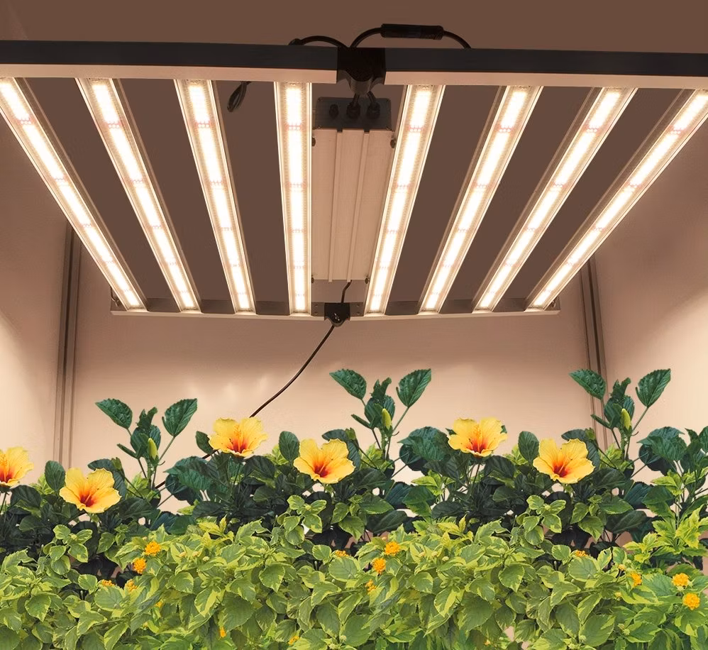 Ecospeed Lm301b Lm561c Lm301h S6 Vertical Farming Indoor Grow Tent 1200W 1000W 600W LED Grow Light for Indoor Greenhouse
