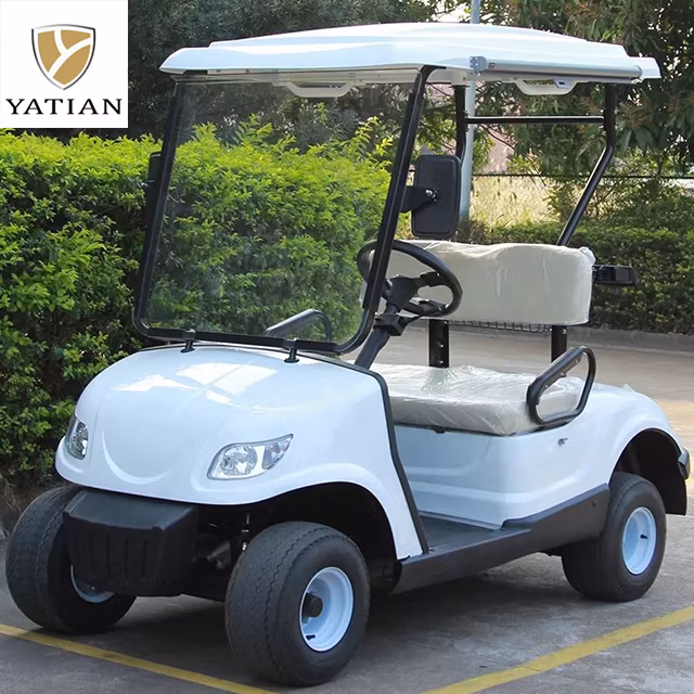 OEM Color New Product 2 Seater Golf Carts Electric Club Car for Adults