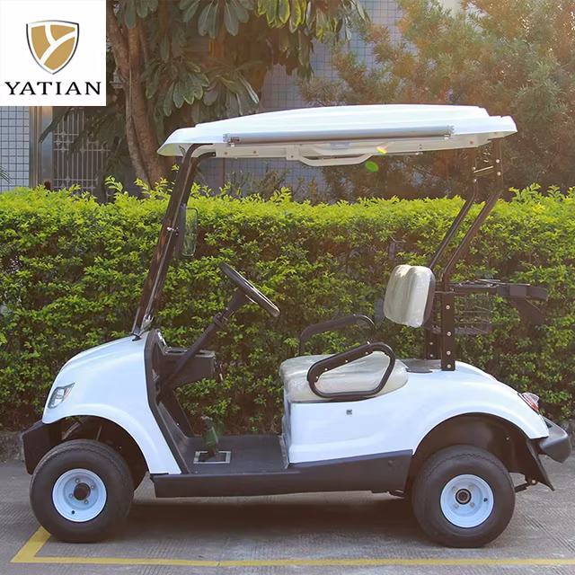 OEM Color New Product 2 Seater Golf Carts Electric Club Car for Adults