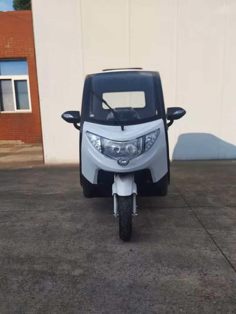 Factory OEM 3 Wheel Battery Closed Electric Tricycle Car for Passenger