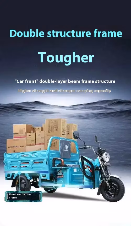 Zhong Shen Adult Electric 3 Wheel for Cargo Passenger Car for The Disabled Motorcycle