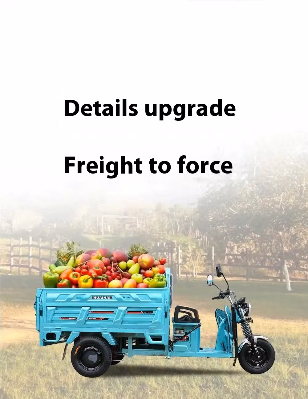 Zhong Shen Adult Electric 3 Wheel for Cargo Passenger Car for The Disabled Motorcycle