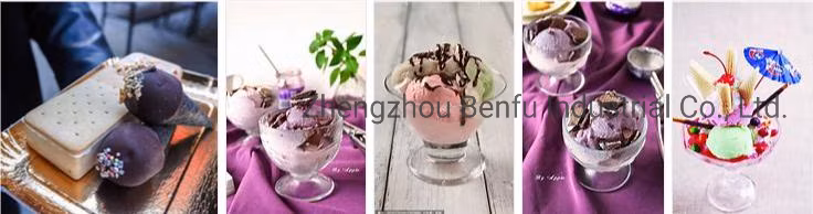 Commercial High Quality Ice Cream Food Making Machine