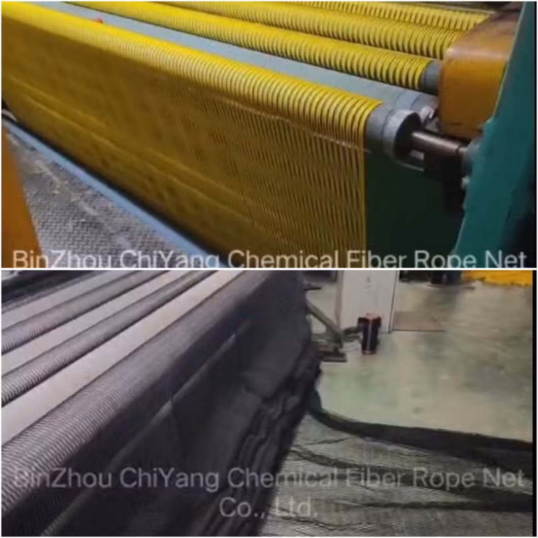 Nylon/PE/PP/Polyester/Plastic/Knotless/Knotted Scaffolding/Fishing/Anti Falling/Fence Safety Bird Catch Net