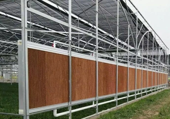 High Hydroscopicity Craft Paper Wall Mounted Wet Curtain Cooling Pad for Agriculture/ Commercial Greenhouse Cooling/ Ventilation/ Poultry/ Henhouse