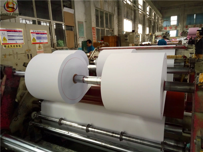 48/50/55GSM 100% Original Wood Pulp Carbonless Paper for Printing