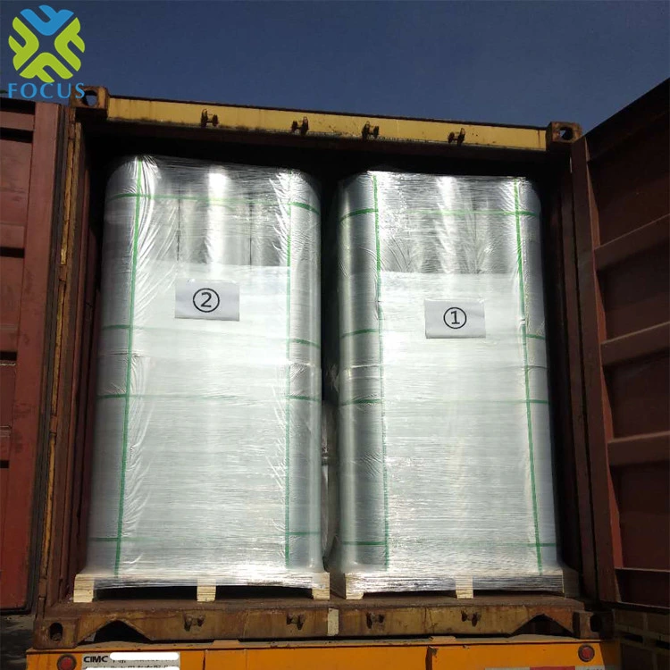 Aluminum Metallized Packaging Film PE/CPP High Reflective Film