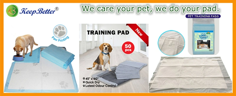 Pet Supply Disposable Anti-Slippery Sticker Pet Dog Puppy Training PEE Urine Pad Wee Wee Hygienic Sanitary Mat Under Pad