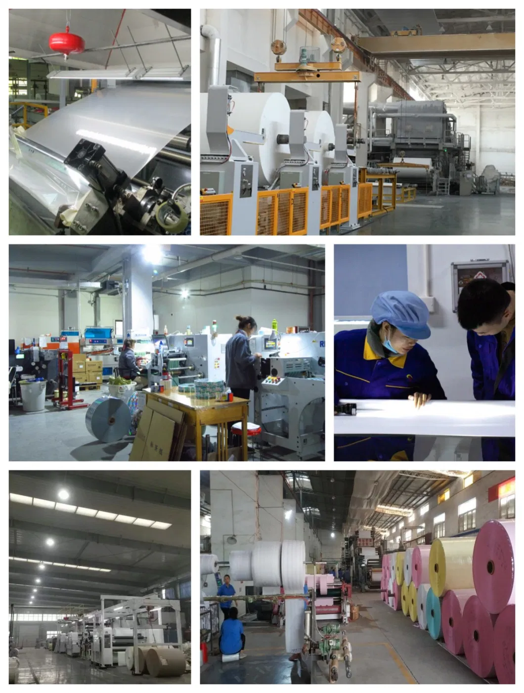 China Manufacture Professional Paper Cup Roll, PE Coated Paper, Paper Cup Material