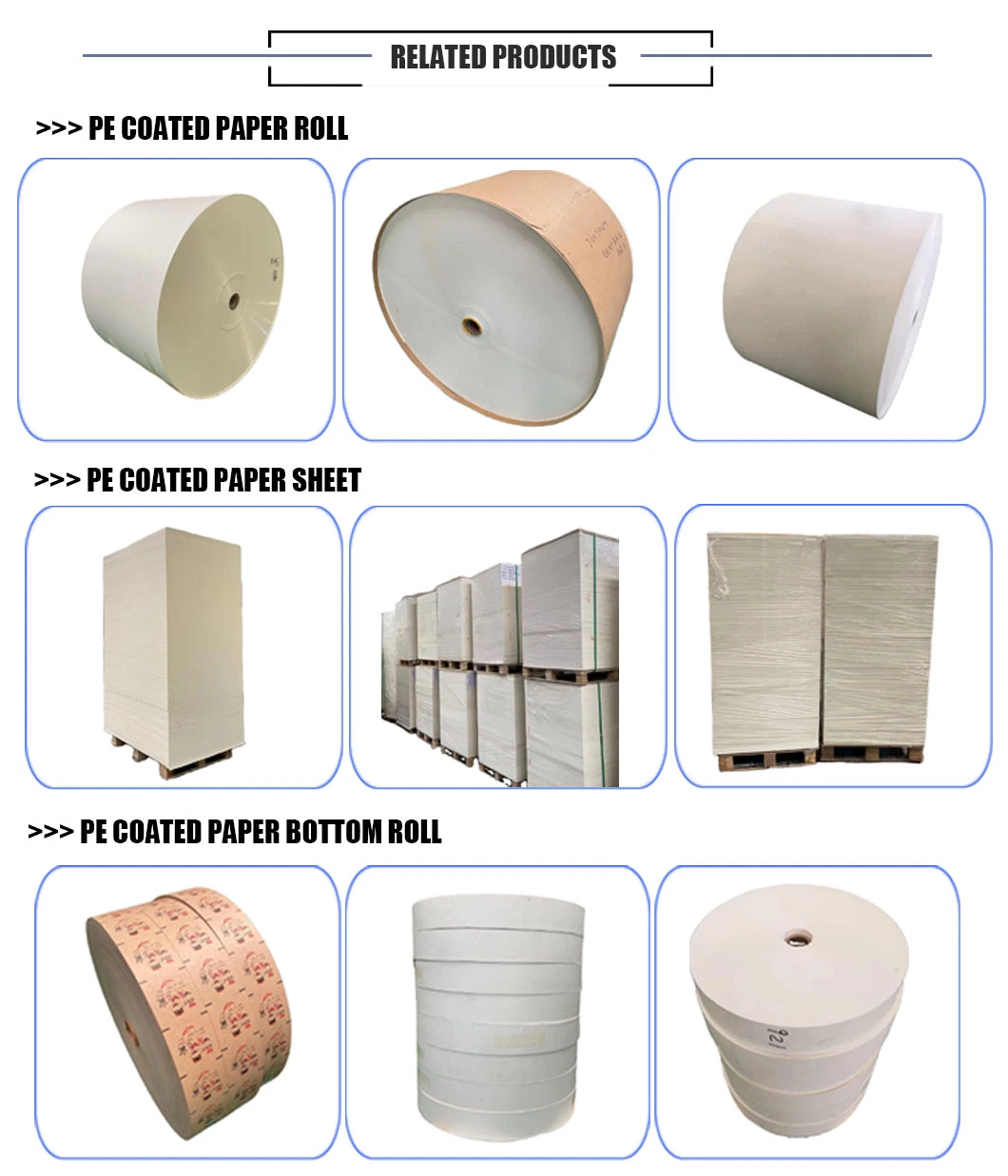 Coated Aseptic PE Craft Paper Paper Cup Fan for Paper Cup