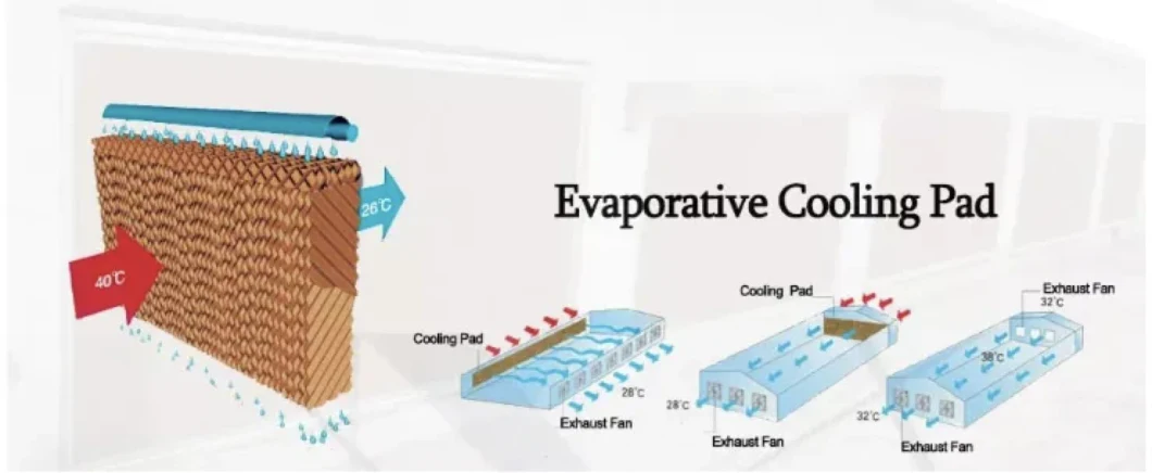 Colling Pad for Chicken House Honeycomb Pad Cooling System for Greenhouses