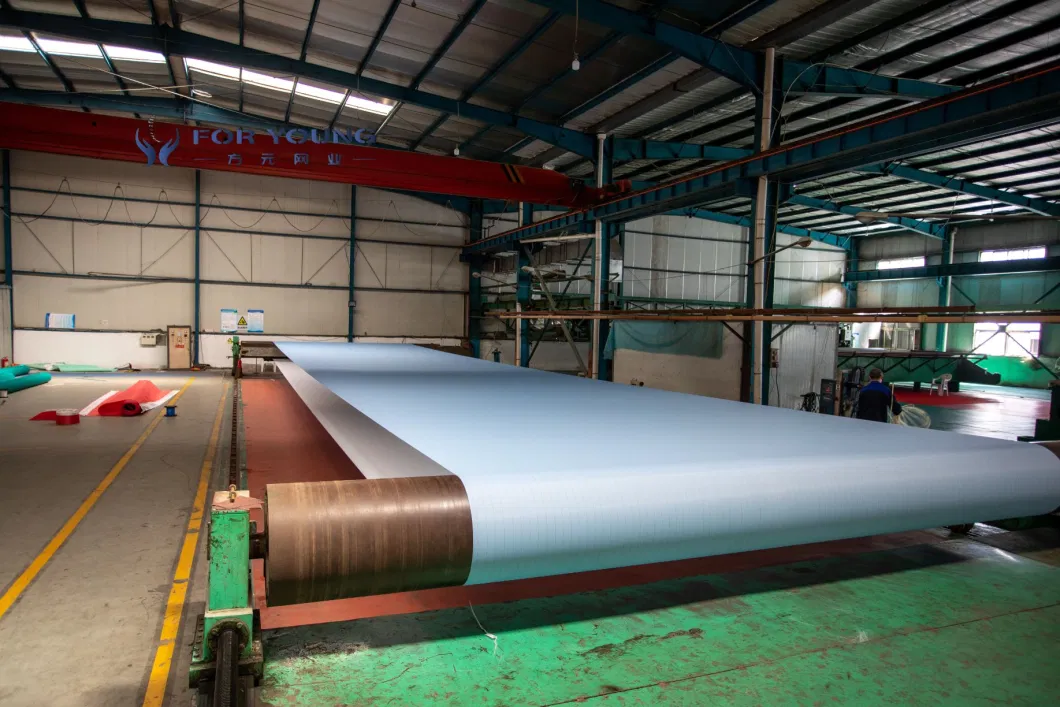 Double Warp Flat Monofilament Dryer Fabric of Paper machine Clothing