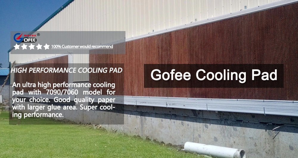 Factory Manufacturer Poultry / Greenhouse / Industrial Color Paper Evaporative Honeycomb Cooling Pad