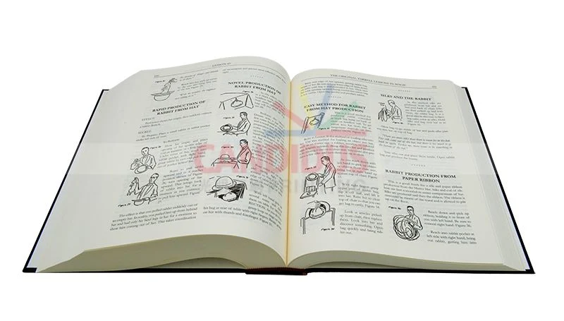 Cheap Paper Back Novel One Color Printed Book