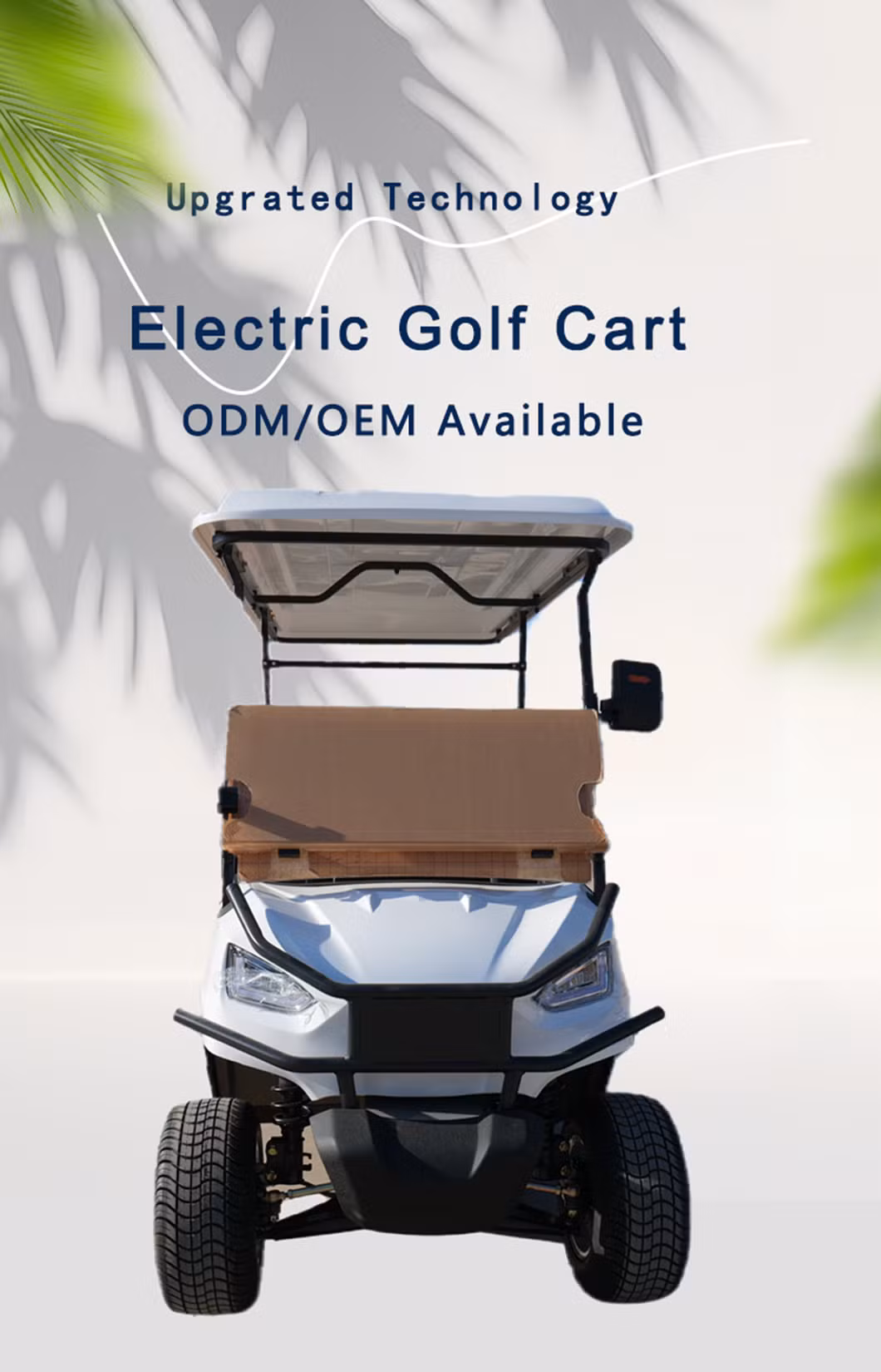 EV New Cheap Mini Small Electric Golf Club Car Vehicle Cart Buggy