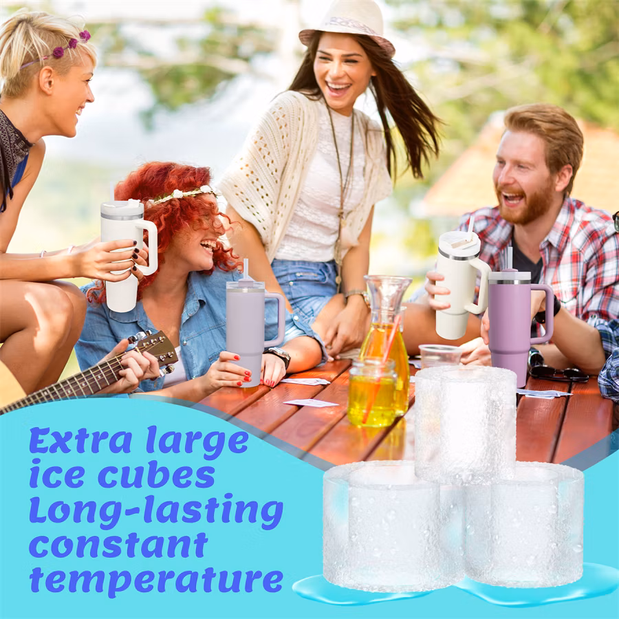 BPA Free Summer Silicone Ice Cube Tray Mold for Tumbler Cup with Lid