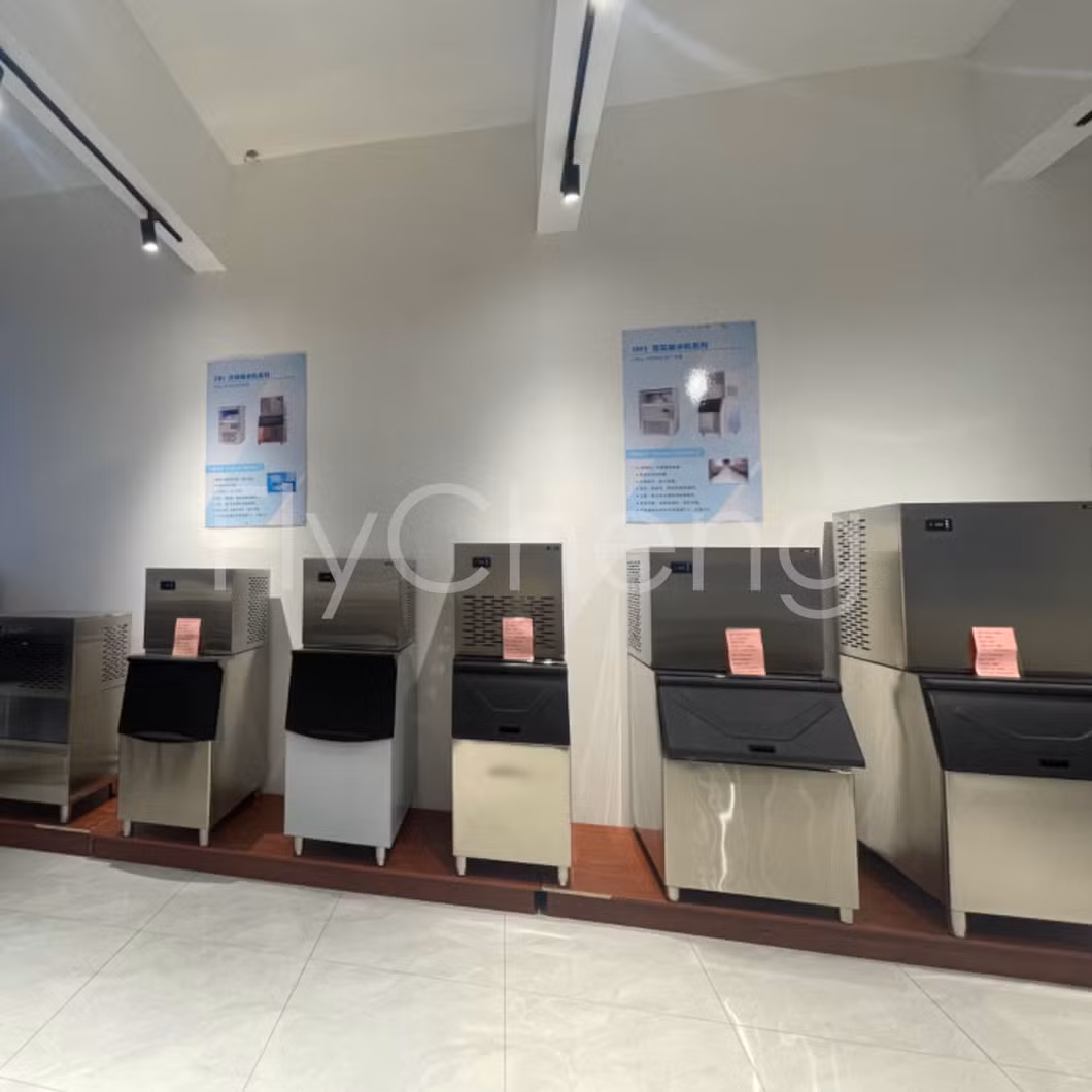 Automatic Lab FC-GR300 Snow Flakes Ice Maker Machine 185kg/24h