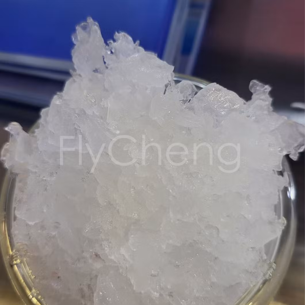 Automatic Lab FC-GR300 Snow Flakes Ice Maker Machine 185kg/24h