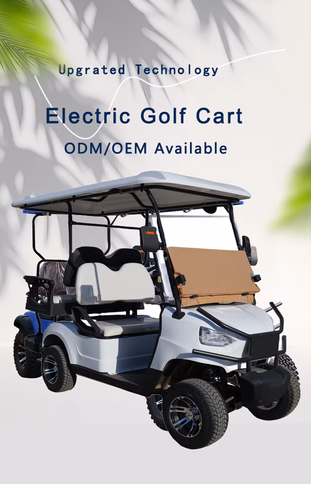 New Cheap Mini Small Tourist Electric Golf Club Car Vehicle Cart Buggy