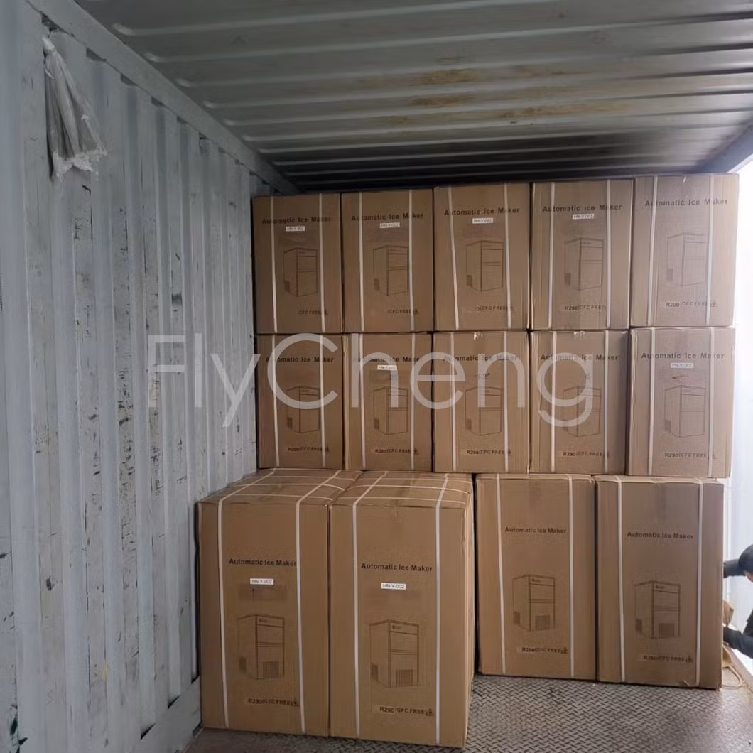 Automatic Lab FC-GR300 Snow Flakes Ice Maker Machine 185kg/24h